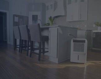 Dehumidifier in Kitchen