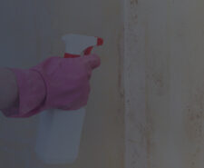 Using Chemical Spray to Remove Mold