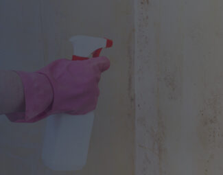 Using Chemical Spray to Remove Mold