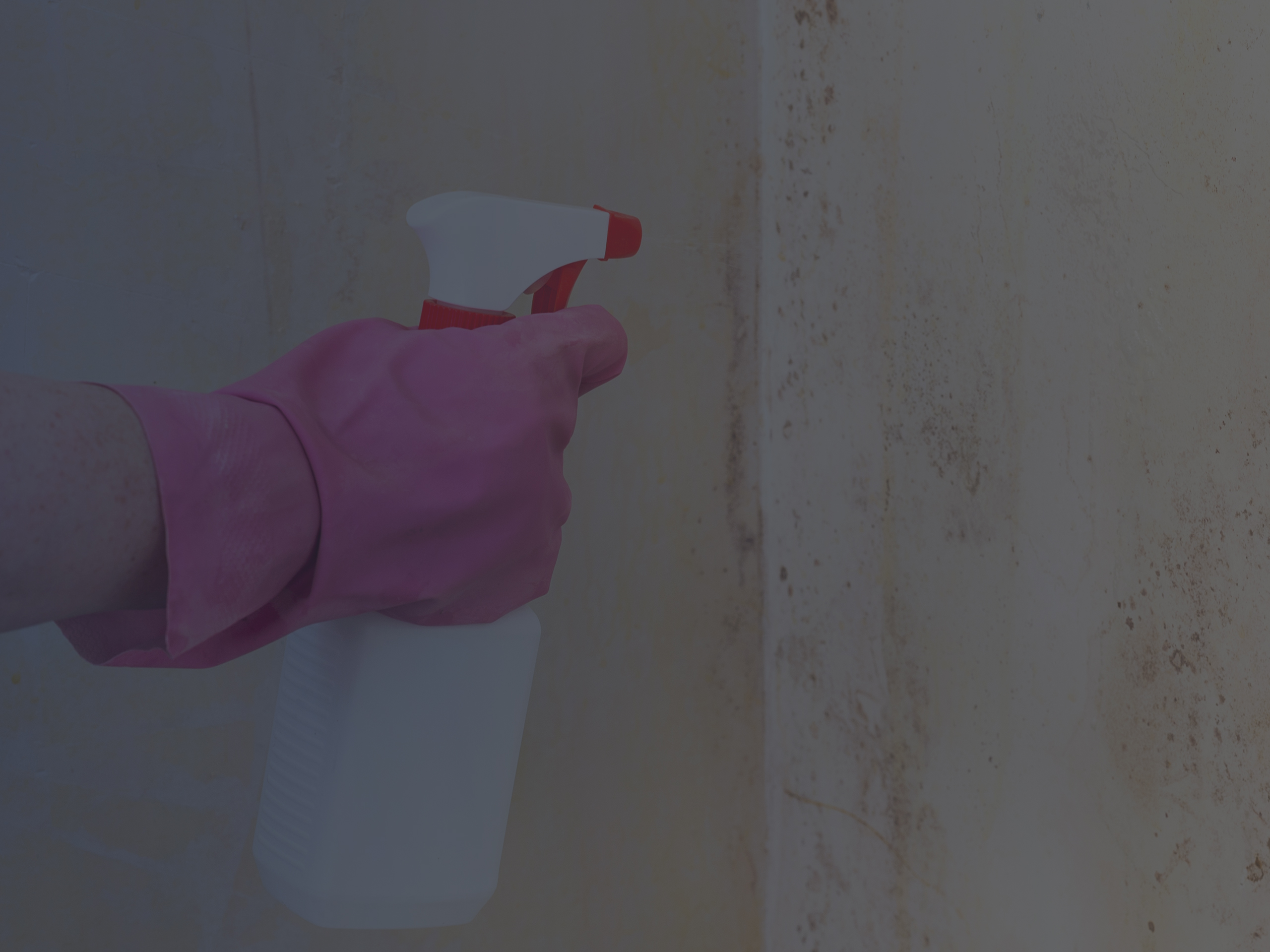 Using Chemical Spray to Remove Mold