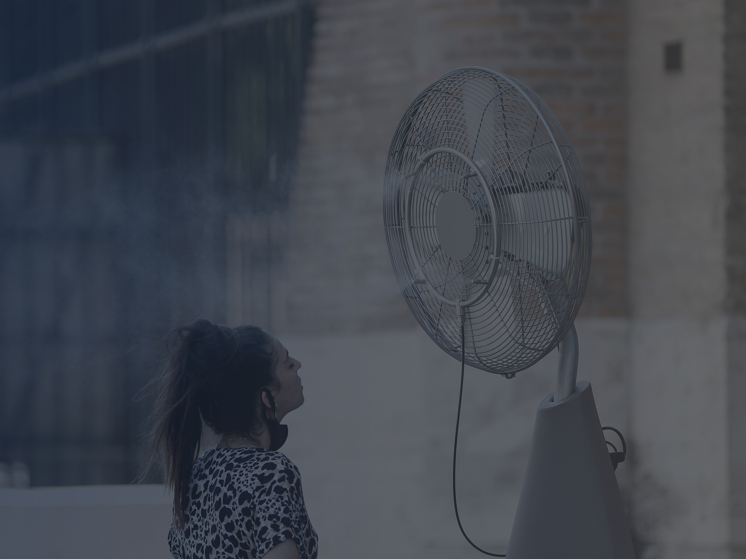 Woman Standing in Front of Misting Fan Outside