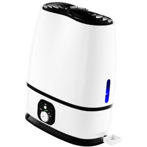 12 Best Rated Humidifiers For Large Room to Fight Dry Winter Air