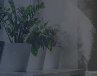 Humidifier Dispersing Cool Mist on Potted Plants