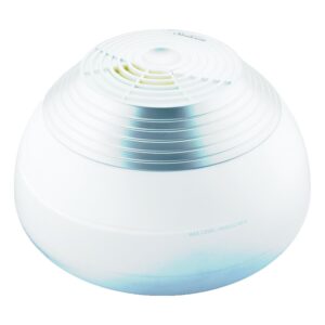 11 Best Rated Warm Mist Humidifiers for Sinus Congestion