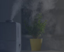 Ultrasonic Humidifier Next to a Plant