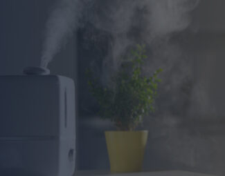 Ultrasonic Humidifier Next to a Plant