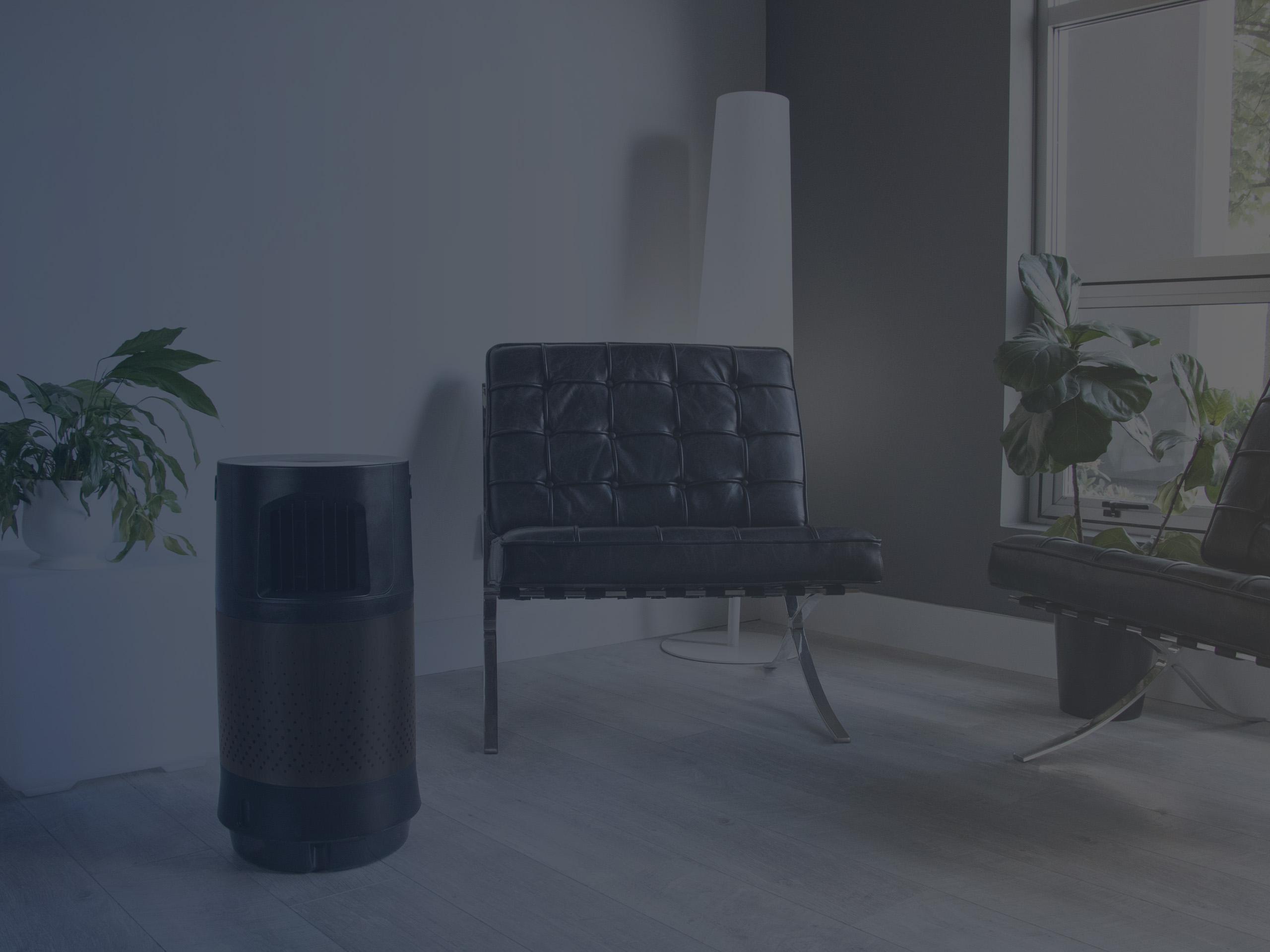 Air Purifier for Smoke Cleaning the Air in Living Room