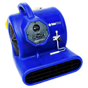 9 Best Rated Carpet Dryers – 2023 In-Depth Reviews